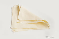 Set of 2 Linen Napkins in Pure White Color